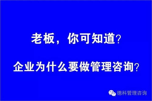 雙輪驅動 管理咨詢與企業(yè)形象策劃如何協(xié)同助力企業(yè)卓越發(fā)展